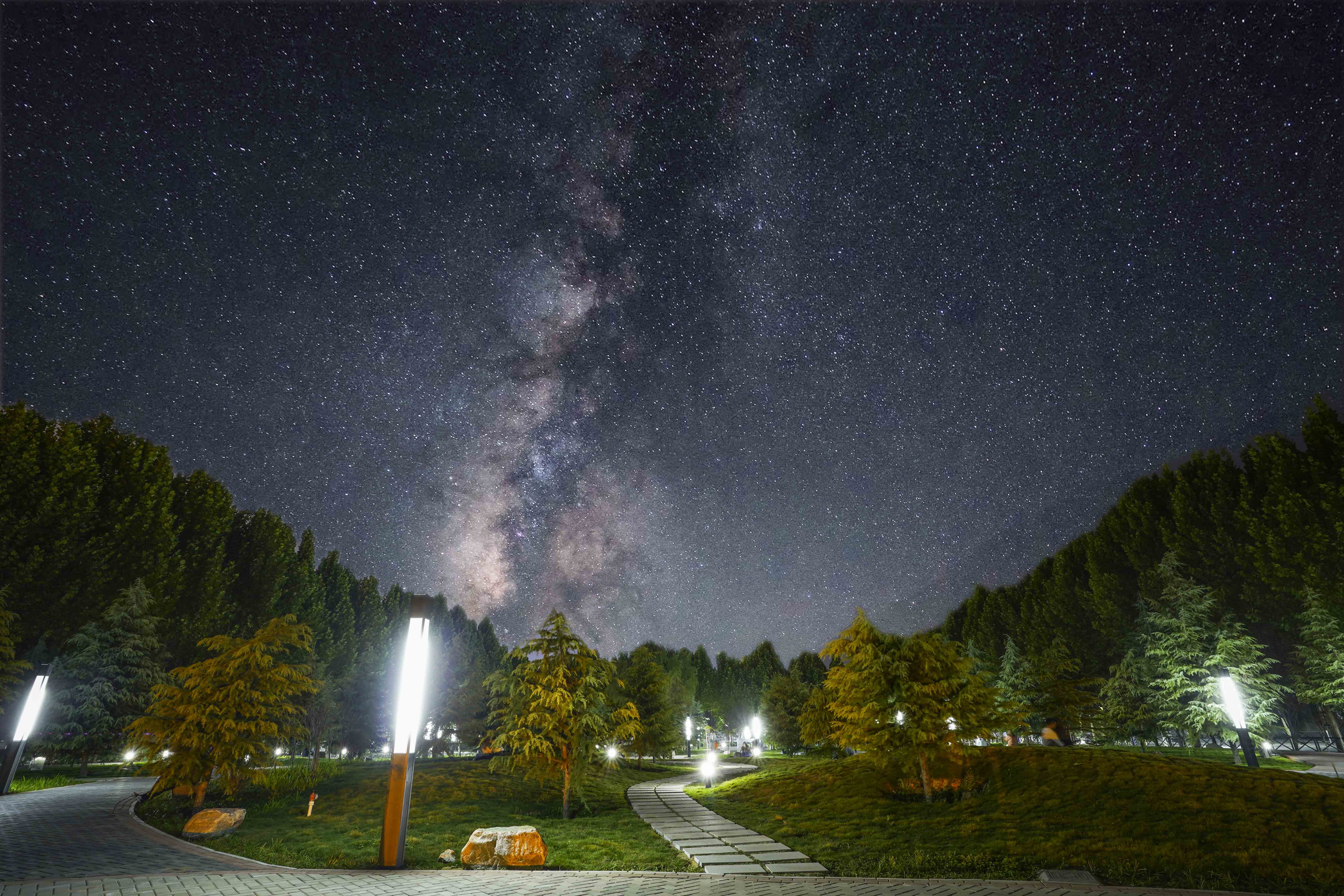 夜空下的郑财