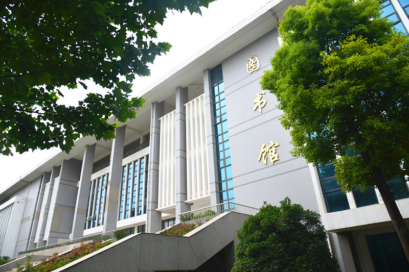 大气的图书馆